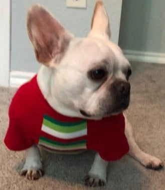 French bulldog christmas outlet shirt