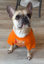 Load image into Gallery viewer, FALL PUMPKINS--Custom Designed French Bulldog T-Shirt