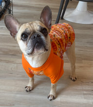 Load image into Gallery viewer, FALL PUMPKINS--Custom Designed French Bulldog T-Shirt