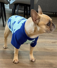 Load image into Gallery viewer, Smiling Sharks Print Tee- Custom Designed French Bulldog T-Shirt