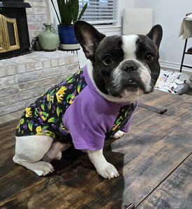 PRESALE PRINTS--MARDI GRAS Print Tee--Custom Designed French Bulldog T-Shirt