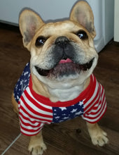 Load image into Gallery viewer, STARS AND STRIPES Tee- Custom Designed French Bulldog T-Shirt