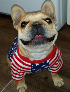 STARS AND STRIPES Tee- Custom Designed French Bulldog T-Shirt