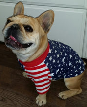 Load image into Gallery viewer, STARS AND STRIPES Tee- Custom Designed French Bulldog T-Shirt