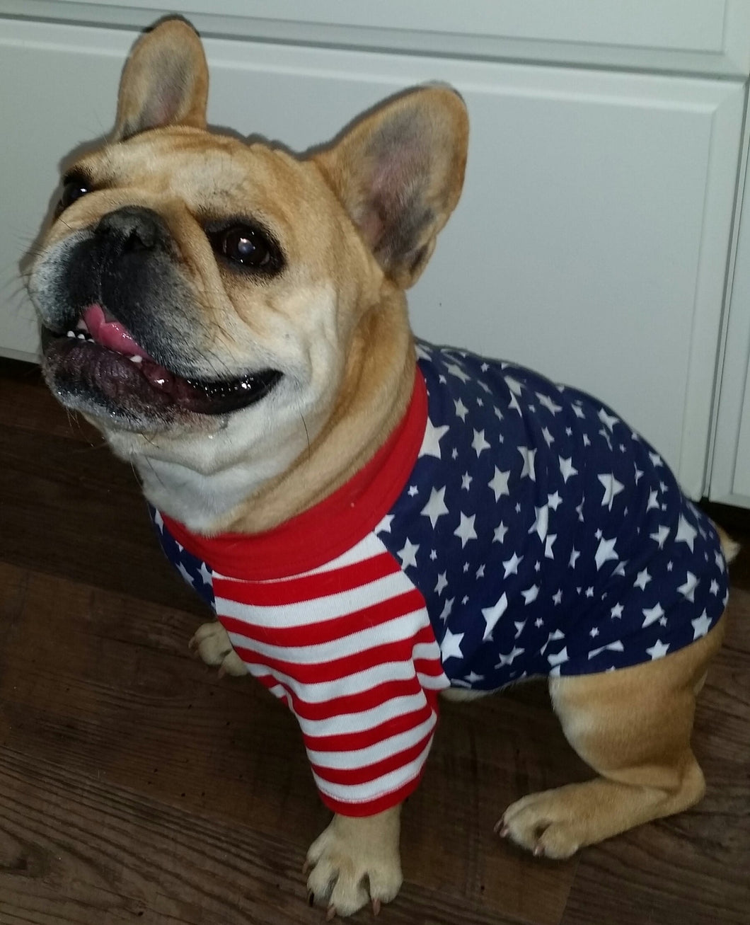 STARS AND STRIPES Tee- Custom Designed French Bulldog T-Shirt