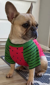 LITTLE WATERMELON Print Tee- Custom Designed French Bulldog T-Shirt