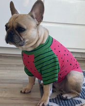 Load image into Gallery viewer, LITTLE WATERMELON Print Tee- Custom Designed French Bulldog T-Shirt