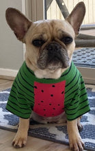 Load image into Gallery viewer, LITTLE WATERMELON Print Tee- Custom Designed French Bulldog T-Shirt