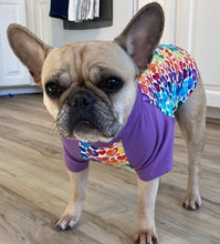 Load image into Gallery viewer, RAINBOW COLOR HEARTS Print Tee- Custom Designed French Bulldog T-Shirt