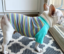 Load image into Gallery viewer, Mint and Stripes Print Tee- Custom Designed French Bulldog T-Shirt