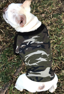 BOY'S CAMO Print Tee- Custom Designed French Bulldog T-Shirt