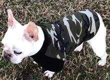 Load image into Gallery viewer, BOY&#39;S CAMO Print Tee- Custom Designed French Bulldog T-Shirt