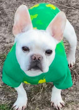 Load image into Gallery viewer, LUCKY SHAMROCKS  Print Tee- Custom Designed French Bulldog T-Shirt