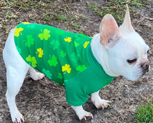 Load image into Gallery viewer, LUCKY SHAMROCKS  Print Tee- Custom Designed French Bulldog T-Shirt