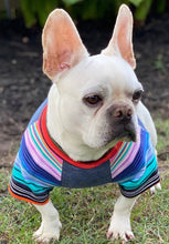 Load image into Gallery viewer, Denim Ribbed Knit and Stripes Tee- Custom Designed French Bulldog T-Shirt