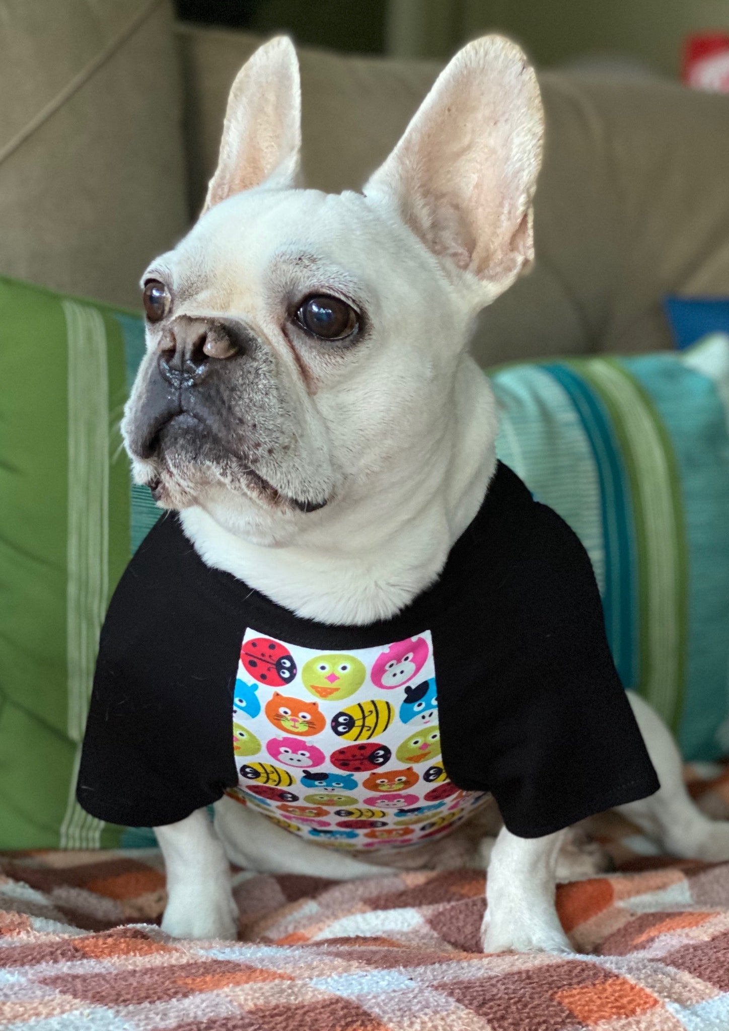 Cute Animal Faces Print Tee- Custom Designed French Bulldog T-Shirt