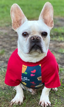 Load image into Gallery viewer, BEST FRIENDS &amp; BUDDY Print Tee- Custom Designed French Bulldog T-Shirt