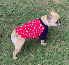 Load image into Gallery viewer, ALL AMERICAN --Red, White, &amp; Blue Tee- Custom Designed French Bulldog T-Shirt