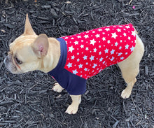 Load image into Gallery viewer, ALL AMERICAN --Red, White, &amp; Blue Tee- Custom Designed French Bulldog T-Shirt