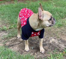 Load image into Gallery viewer, ALL AMERICAN --Red, White, &amp; Blue Tee- Custom Designed French Bulldog T-Shirt