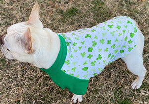 ST. PATTY'S SHAMROCKS  Print Tee- Custom Designed French Bulldog T-Shirt