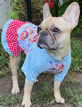 Load image into Gallery viewer, Sparkle Holiday Characters Double Ruffle Dress- Custom French Bulldog Dress