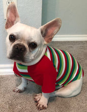 Load image into Gallery viewer, HOLIDAY STRIPES Tee- Custom Designed French Bulldog T-Shirt