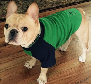 KELLY GREEN & NAVY SOLID Tee- Custom Designed French Bulldog T-Shirt